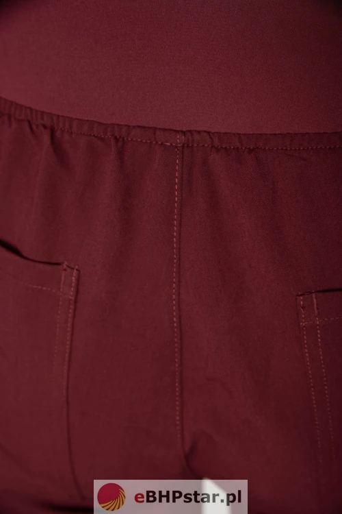 MYNTS Jogger Pants Men MMP003 Burgundy6.jpg
