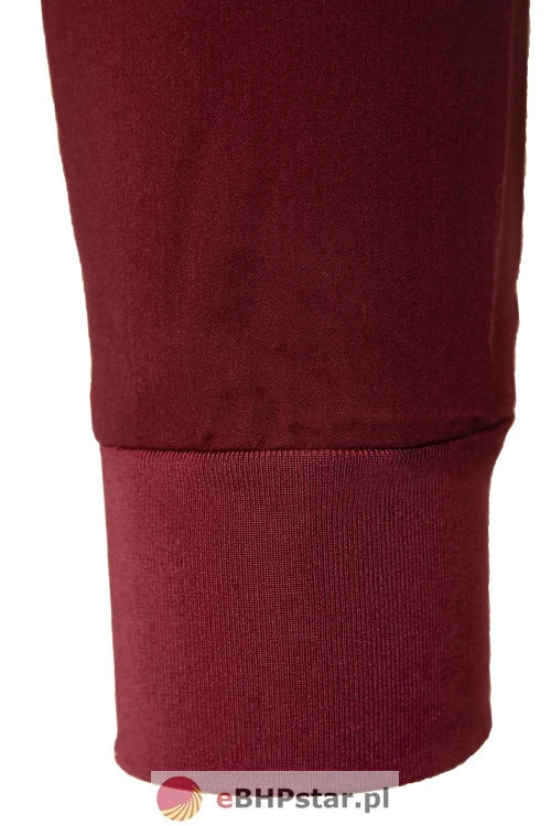 MYNTS Jogger Pants Men MMP003 Burgundy8.jpg