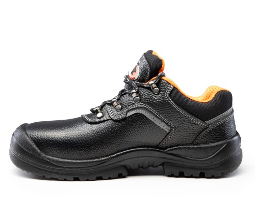 BBR4 BEARFIELD PÓŁBUT R03 S3 SRC .jpg