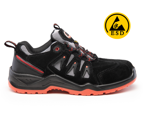 BBN6 BEARFIELD PÓŁBUT N06 SRC ESD S1-P.png