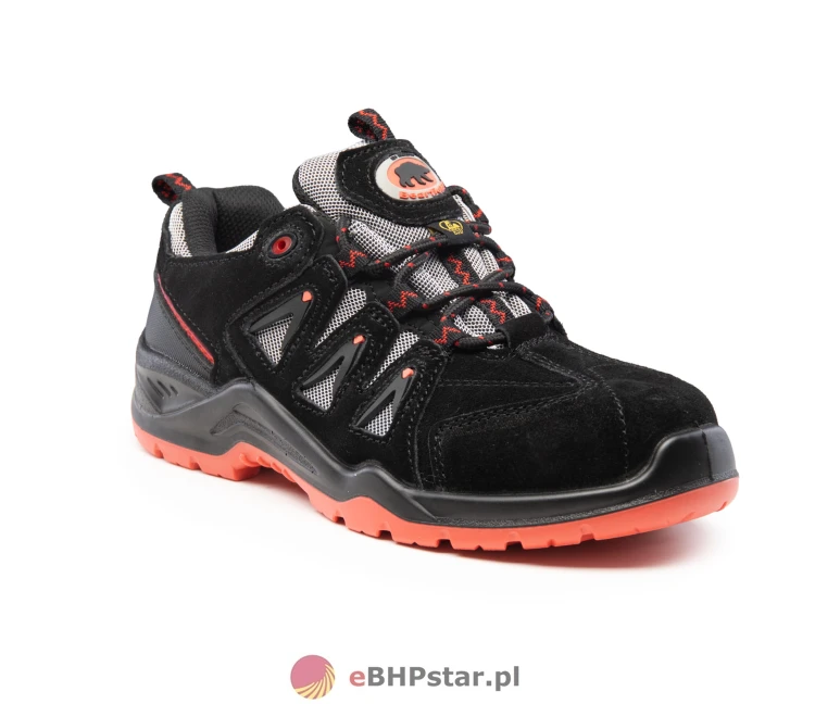 BBN6 BEARFIELD PÓŁBUT N06 SRC ESD S1-P-3.jpg