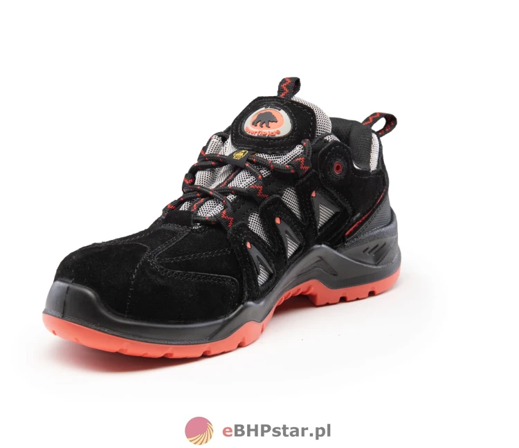 BBN6 BEARFIELD PÓŁBUT N06 SRC ESD S1-P-4.jpg